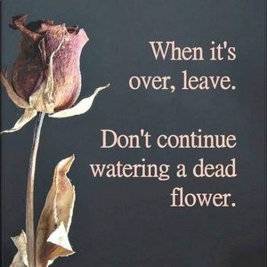 Meet your Posher, Fatima